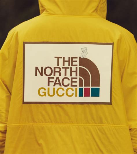 north face x gucci|gucci x north face tracksuit.